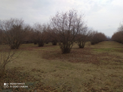 Satılır 220 sot torpaq Qax