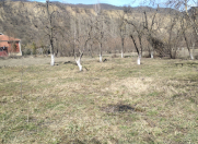 Satılır 15 sot torpaq Qusar