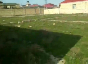 Satılır 30 sot torpaq Novxanı