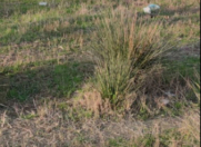 Satılır 12 sot torpaq Sumqayıt