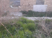 Satılır 5 sot torpaq Masazır