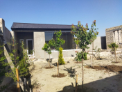 Satılır 4 sot torpaq Pirşağı