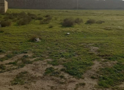 Satılır 36 sot torpaq Fatmayı