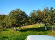 Satılır 3 otaqlı 65 m2 həyət evi İsmayıllı