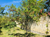 Satılır 3 otaqlı 135.5 m2 həyət evi İsmayıllı