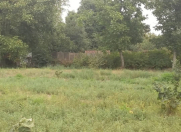 Satılır 30 sot torpaq Qəbələ