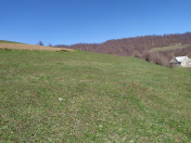 Satılır 24 sot torpaq Quba