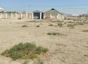 Satılır 6 sot torpaq Şirvan