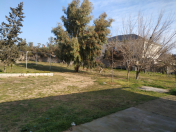 Satılır 27 sot torpaq Şüvəlan