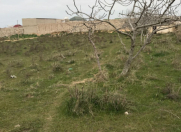 Satılır 25 sot torpaq Qala