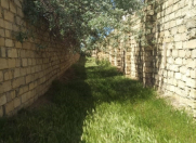 Satılır 12 sot torpaq Novxanı