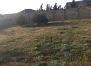 Satılır 5 sot torpaq Novxanı