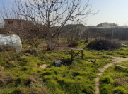 Satılır 6 sot torpaq Mehdiabad