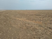 Satılır 40 sot torpaq Mehdiabad