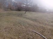 Satılır 8 sot torpaq İsmayıllı