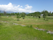 Satılır 40 sot torpaq Qəbələ