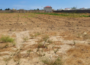 Satılır 100 sot torpaq Bilgəh