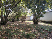 Satılır 15 sot torpaq Qəbələ