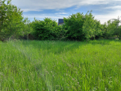 Satılır 12 sot torpaq Qəbələ