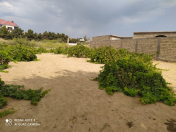 Satılır 21 sot torpaq Bilgəh