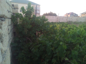 Satılır 4 sot torpaq Novxanı