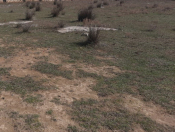 Satılır 1.5 sot torpaq Masazır