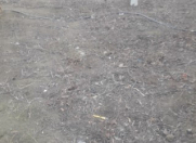 Satılır 2 sot torpaq Nübar