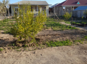 Satılır 5 sot torpaq Naxçıvan