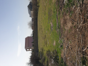 Satılır 12.5 sot torpaq Görədil