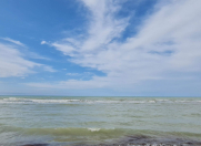 İcarəyə verilir 45 otaqlı 20000 m2 obyekt Pirşağı