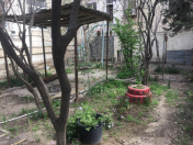 Satılır 2 otaqlı 48.49 m2 köhnə tikili Əmircan