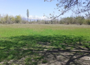 Satılır 100 sot torpaq Qəbələ