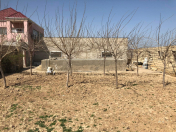 Satılır 3 otaqlı 15 m2 bağ evi Sumqayıt