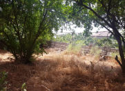 Satılır 3 sot torpaq Əhmədli