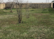 Satılır 7 sot torpaq Saray