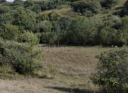 Satılır 12 sot torpaq Şamaxı