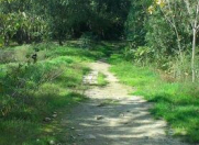 Satılır 10 sot torpaq Badamdar