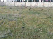 Satılır 6 sot torpaq Saray