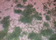 Satılır 3 sot torpaq Ramana