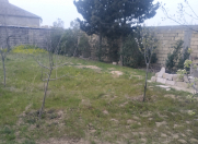 Satılır 3 sot torpaq Saray