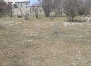 Satılır 10 sot torpaq Zirə