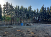 Satılır 4 sot torpaq Mehdiabad