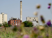 Satılır 150 sot torpaq Perekeşkül