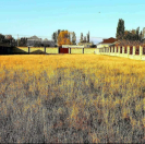 Satılır 12 sot torpaq Quba