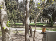 Satılır 1 otaqlı 40 m2 köhnə tikili 7 mkr