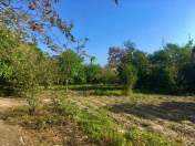 Satılır 11 sot torpaq Xudat