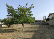 Satılır 15 sot torpaq Novxanı