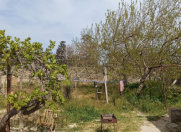 Satılır 14 sot torpaq Şüvəlan