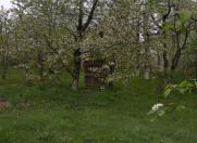 Satılır 8 sot torpaq Quba