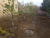 Satılır 4 otaqlı 200 m2 bağ evi Dübəndi bağları